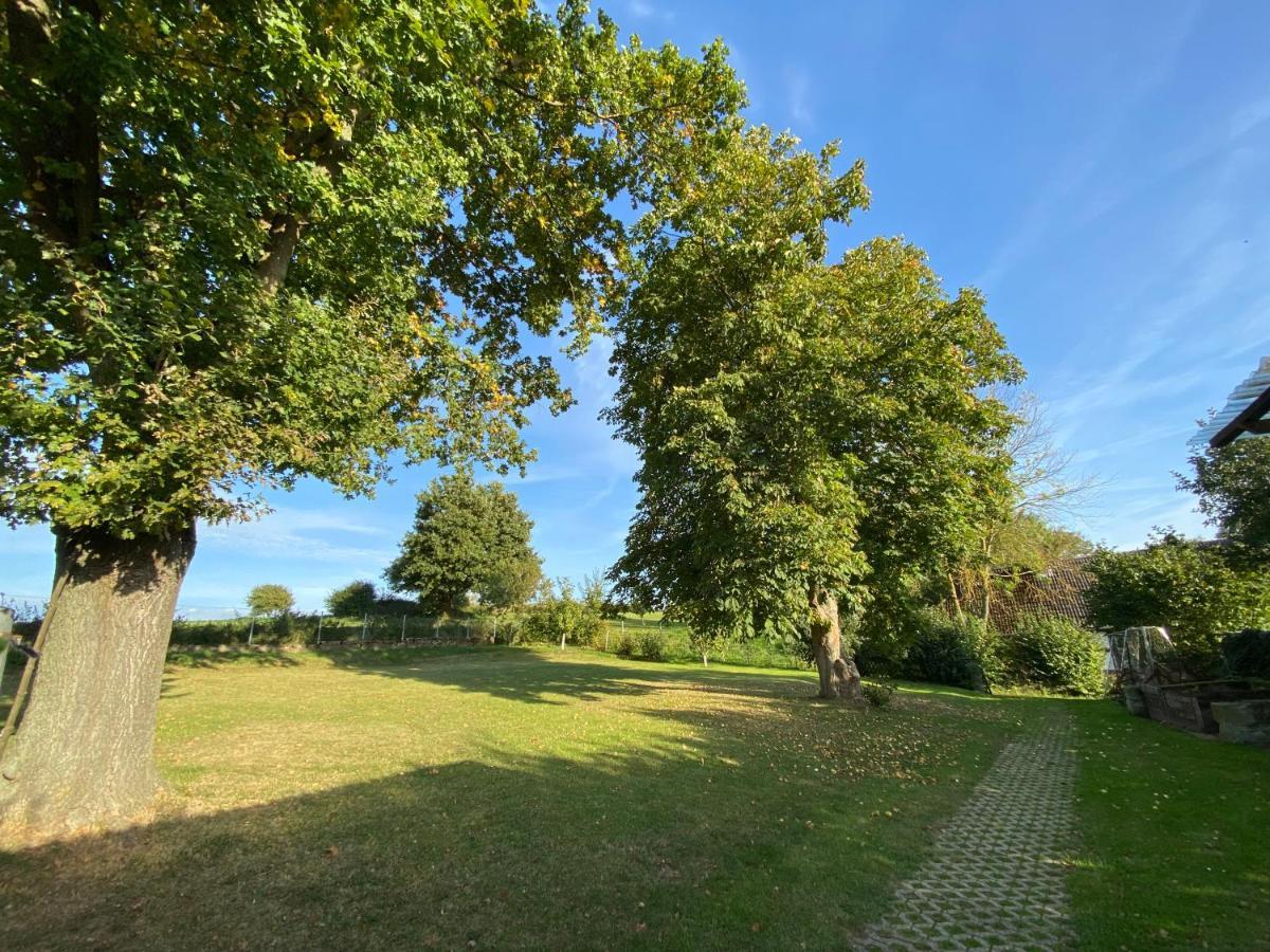 Ferienwohnung Riese Nordhessen Felsberg ภายนอก รูปภาพ